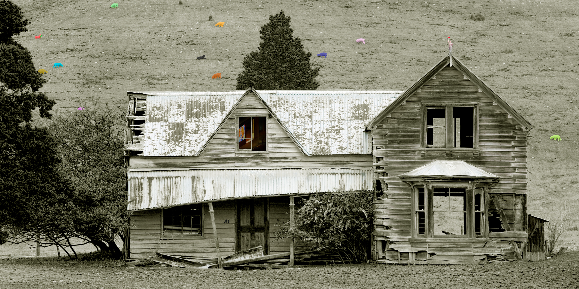 _RWR0005-House-Hill--Sheep-V.-IIIV by Ron Winter of Fabulous Teeth @ Seaside Dental Laboratory & Clinic.jpg